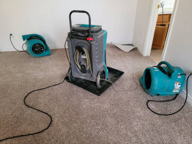 Best Emergency water damage restoration  in South Apopka, FL