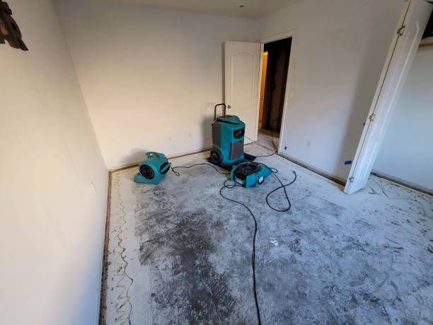 Best Emergency water damage restoration  in South Apopka, FL