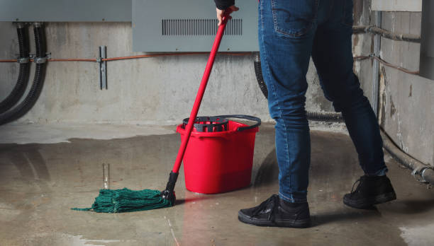 Best Water damage restoration near me  in South Apopka, FL