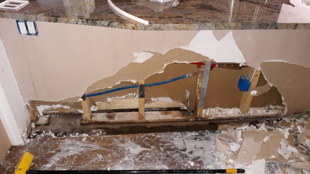 Best Basement water damage restoration  in South Apopka, FL