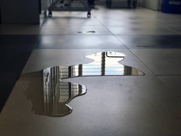 Best Professional water damage repair  in South Apopka, FL