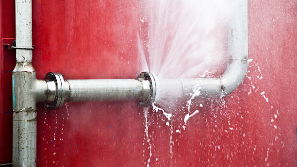 Best Water damage restoration company  in South Apopka, FL